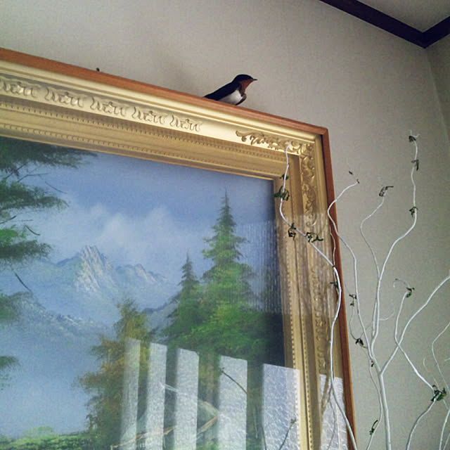 hiroさんの実例写真