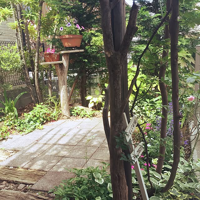 mgardenさんの実例写真