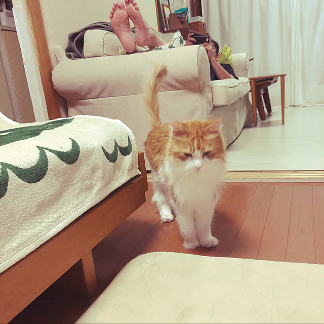 uchidaizuさんの実例写真