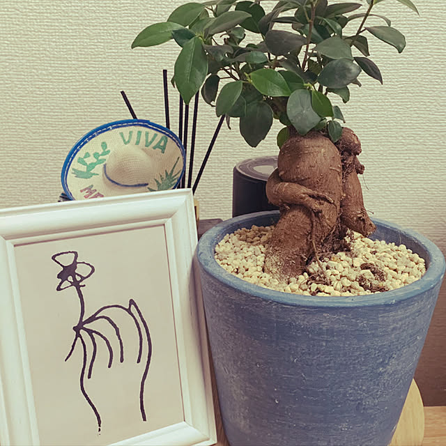 saaamyさんの実例写真