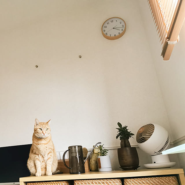 sariさんの実例写真