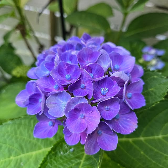 min_nimさんの部屋