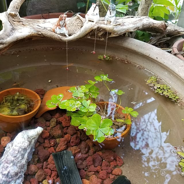 midoriさんの部屋