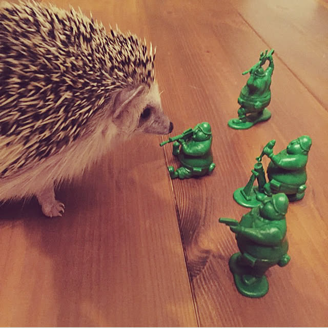 mamechanさんの実例写真