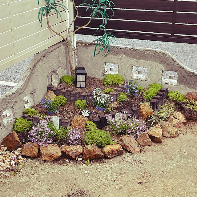 部屋全体ではありません/DIY/多肉植物/DIY女子/手作りの庭...などのインテリア実例 - 2024-06-27 23:58:06
