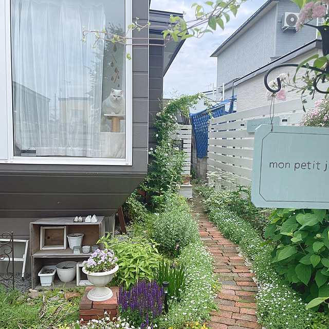 kotoriさんの部屋