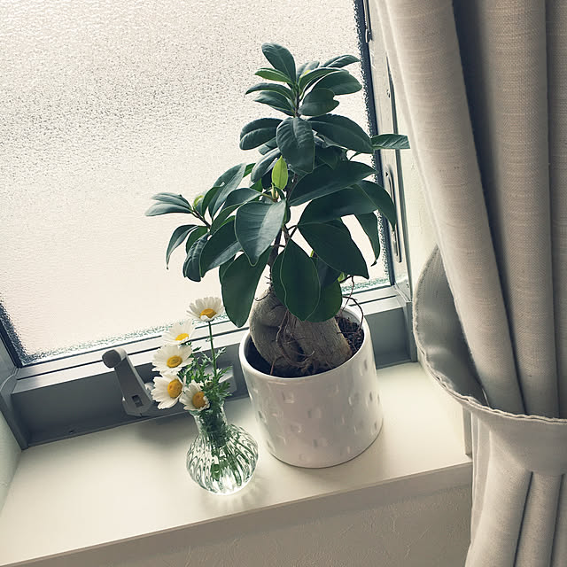 yukakoさんの実例写真