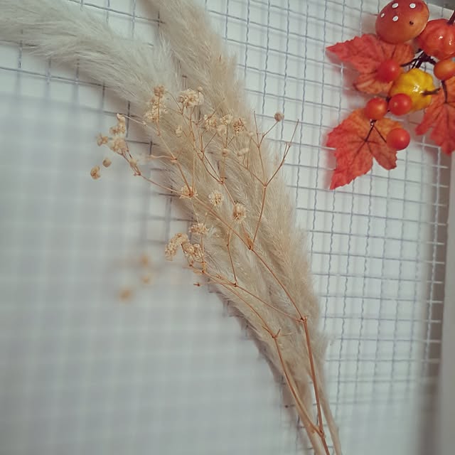 sakura_3さんの部屋