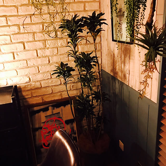 junさんの実例写真
