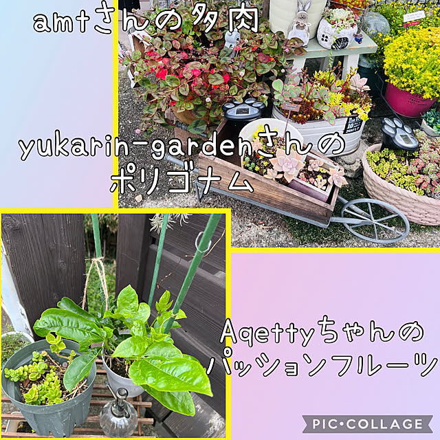 jijiさんの部屋