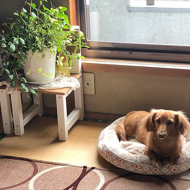 部屋全体のインテリア実例 - 2020-02-04 23:33:21