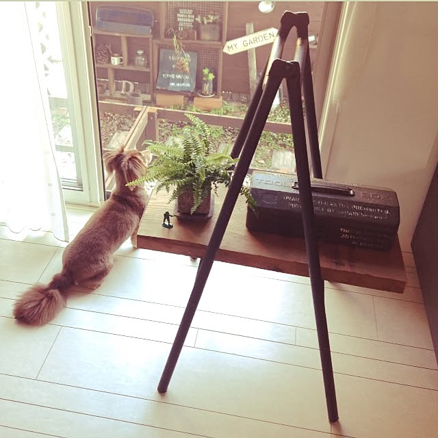 rikakoさんの実例写真