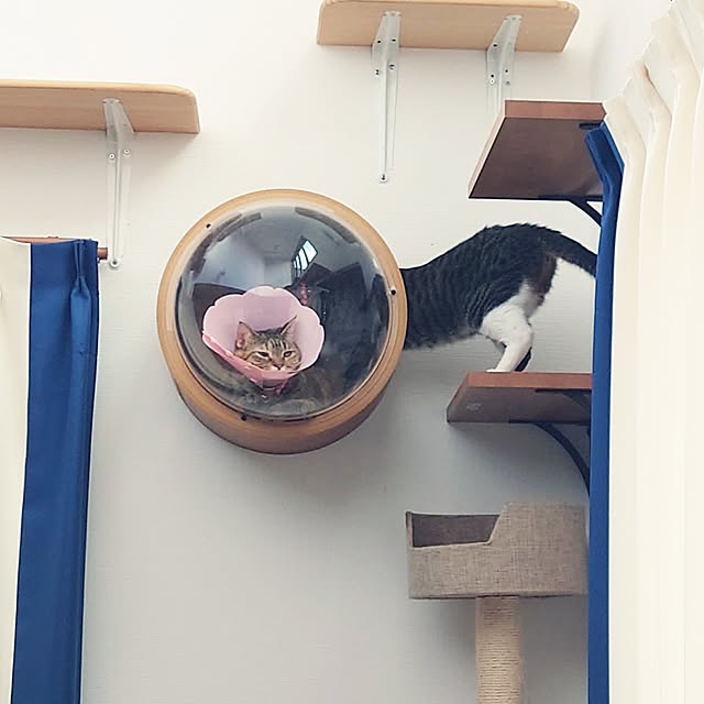 mochicoさんの部屋