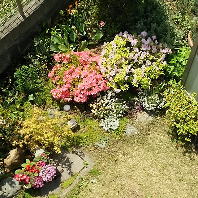 soneさんの実例写真