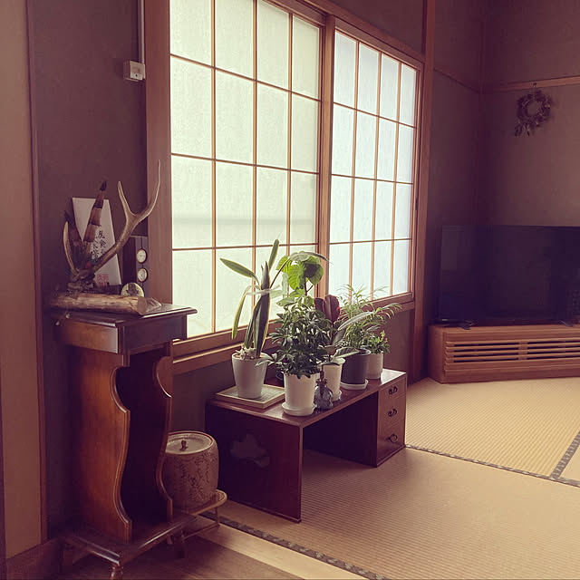 takara.koさんの実例写真