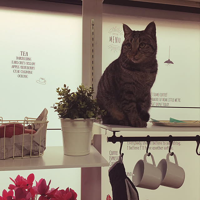 RiriLalaさんの実例写真