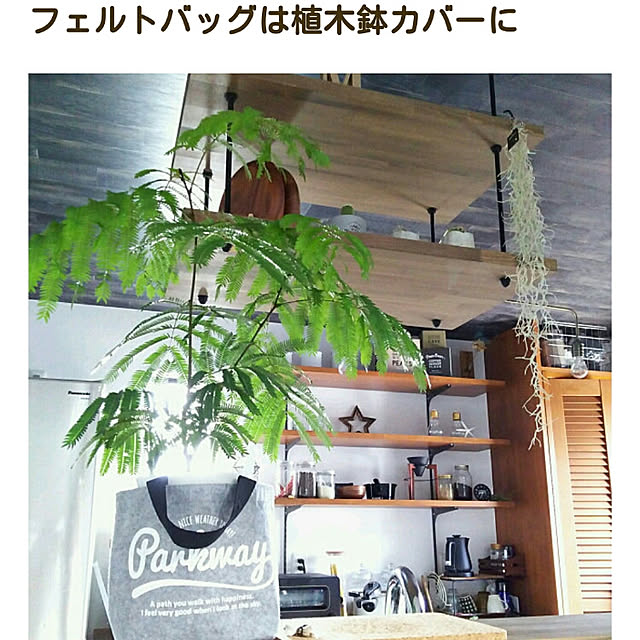 colonさんの実例写真