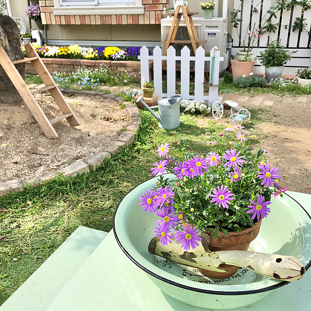 ponさんの実例写真