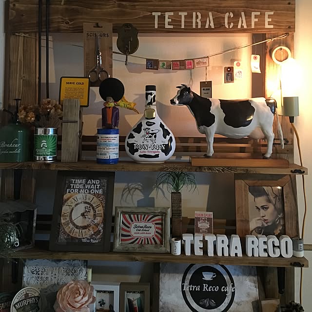 tetra163さんの実例写真