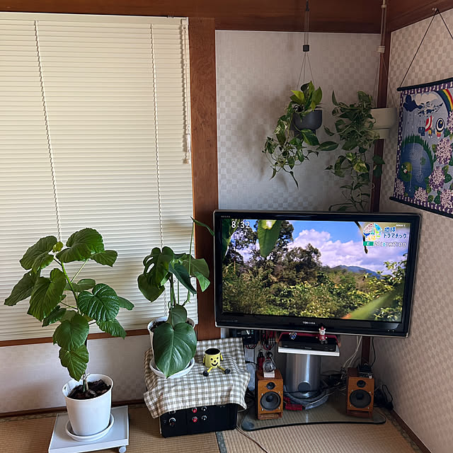 mimoryさんの実例写真