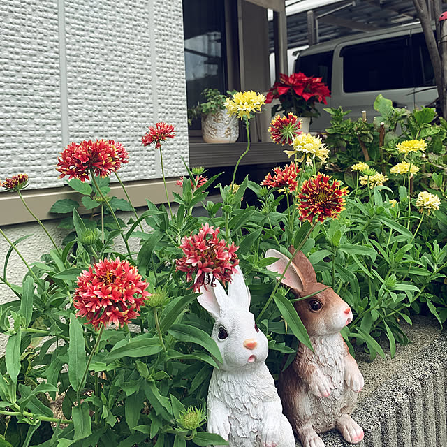 yukarin-gardenさんの実例写真