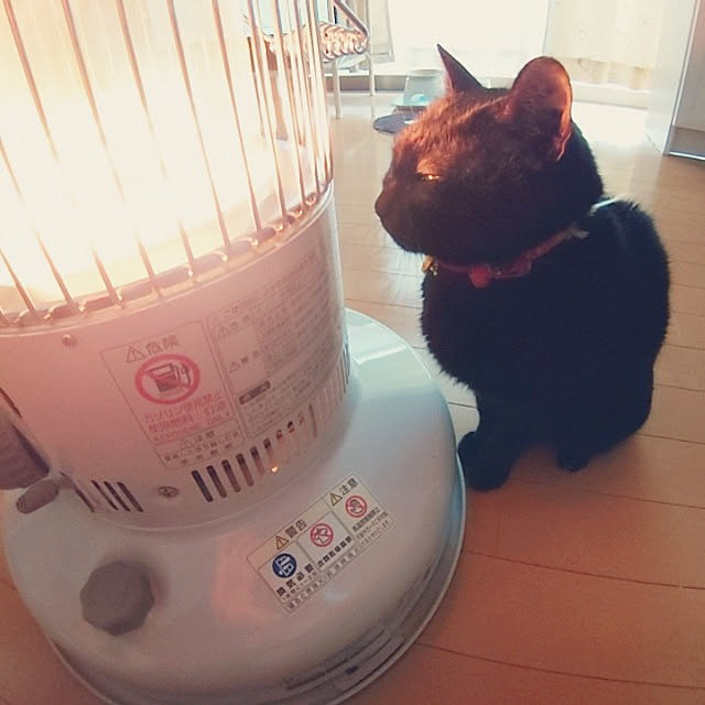 KIKIさんの実例写真