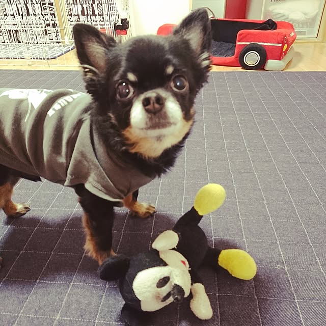 lovepeaceさんの実例写真