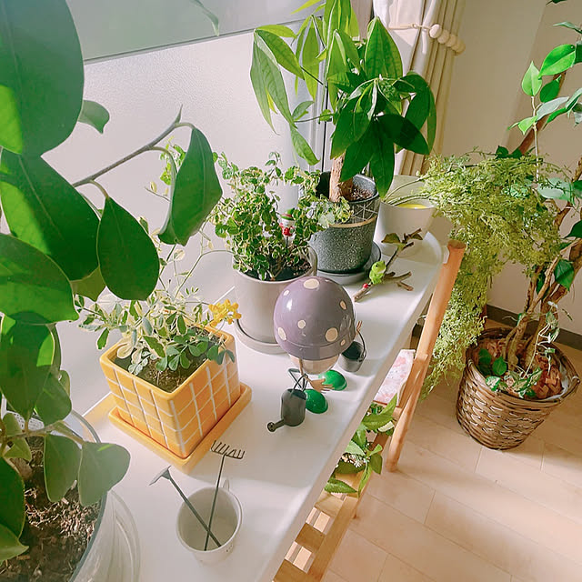 Hazukiさんの部屋