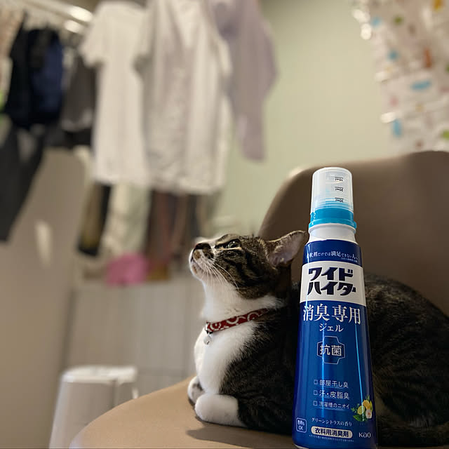 ippu0303Karinさんの実例写真