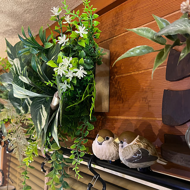 hikoさんの部屋
