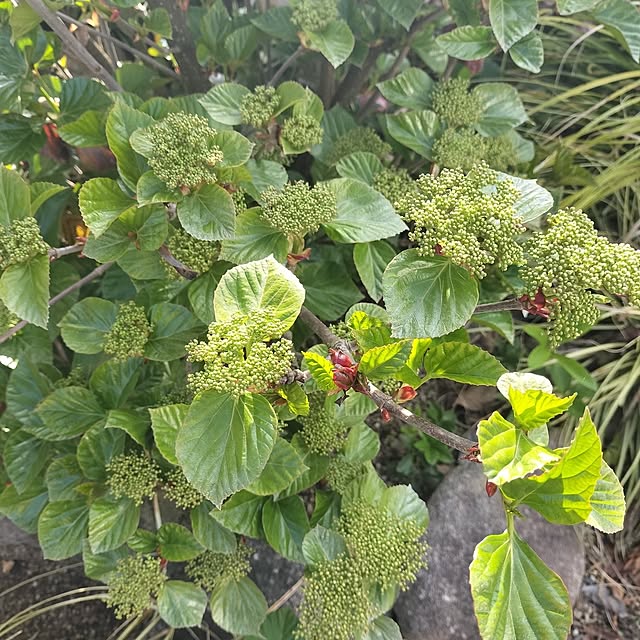 feuileさんの実例写真