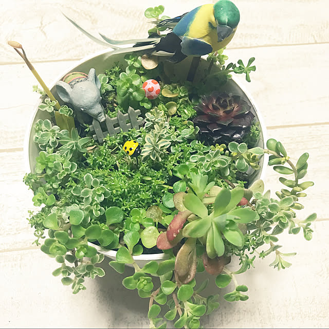 kikiさんの実例写真