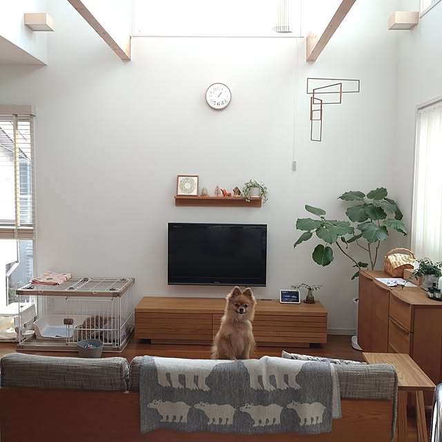shiokoさんの部屋