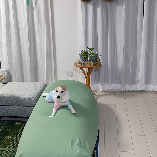 marosukeさんの実例写真
