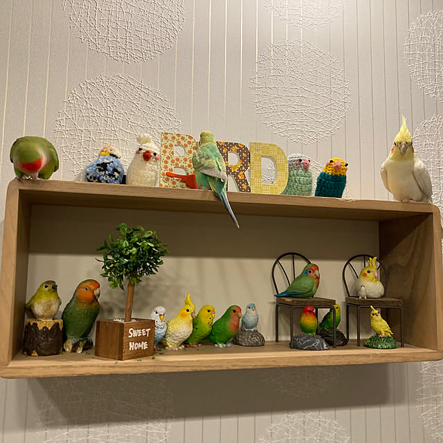 toratanさんの部屋