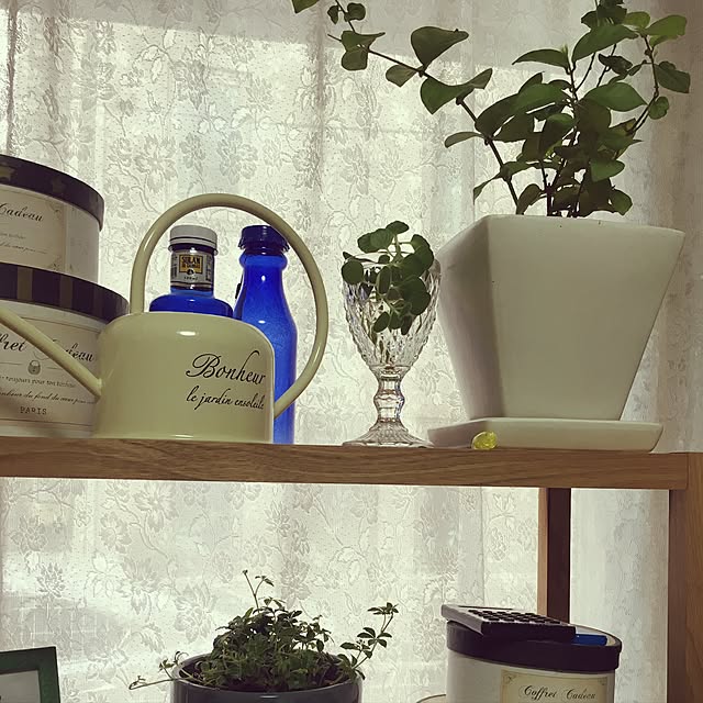 victoria99さんの実例写真