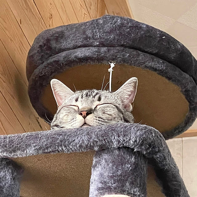 yumiさんの実例写真