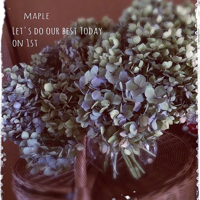 mapleさんの実例写真