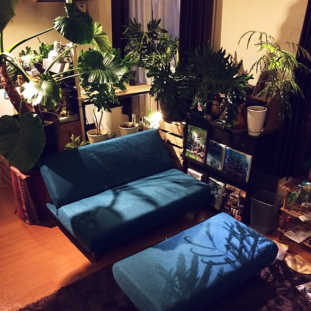 Taketoさんの実例写真
