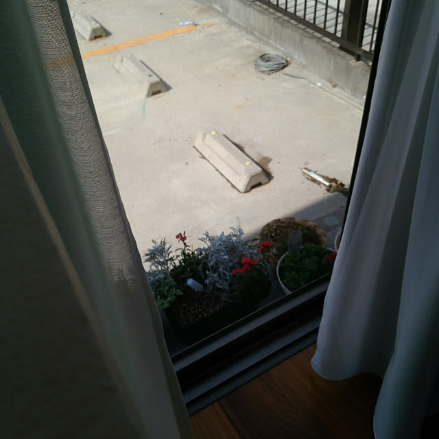 kyukyuさんの実例写真