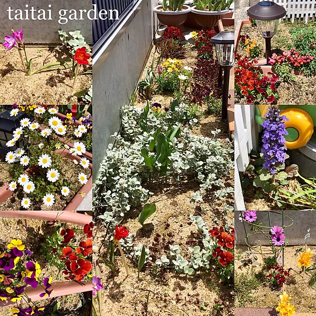 taitaiさんの実例写真