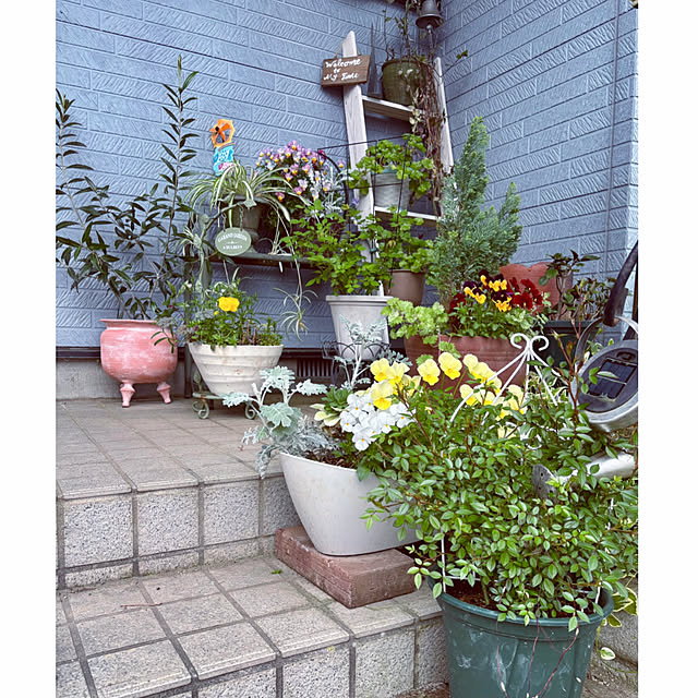 CoCo0617さんの部屋