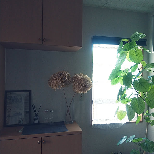 sayaさんの実例写真