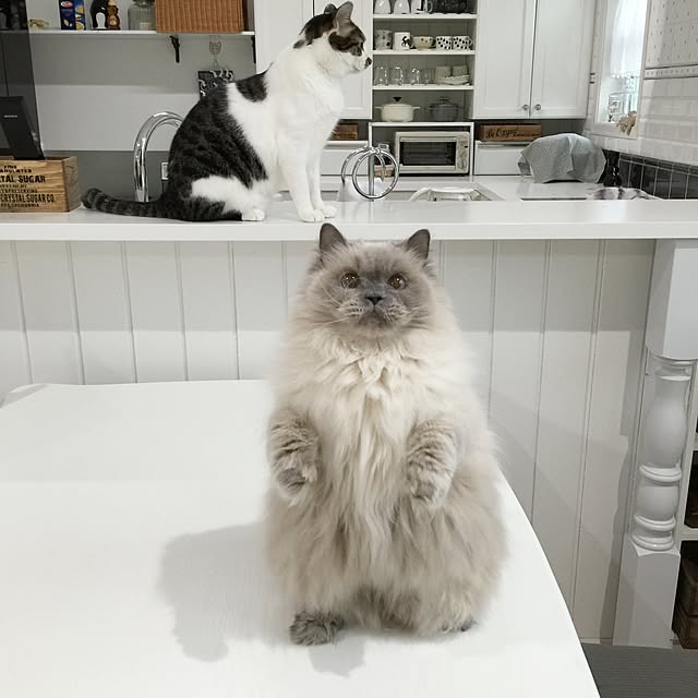 yuchiさんの実例写真