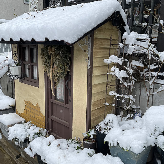 shiropenguinさんの実例写真