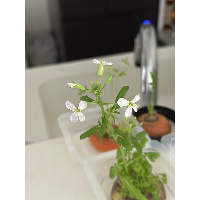 nono.0129さんの部屋