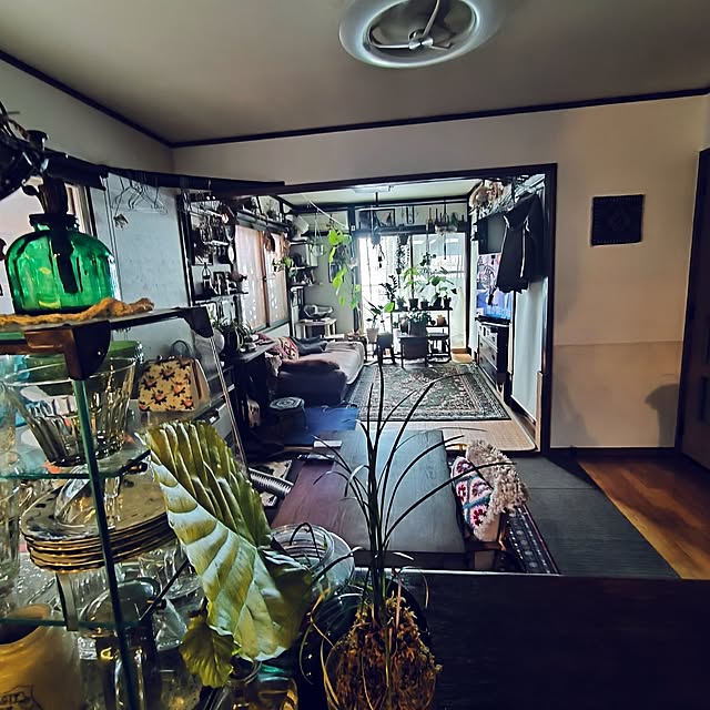 koyutan-mjmさんの実例写真