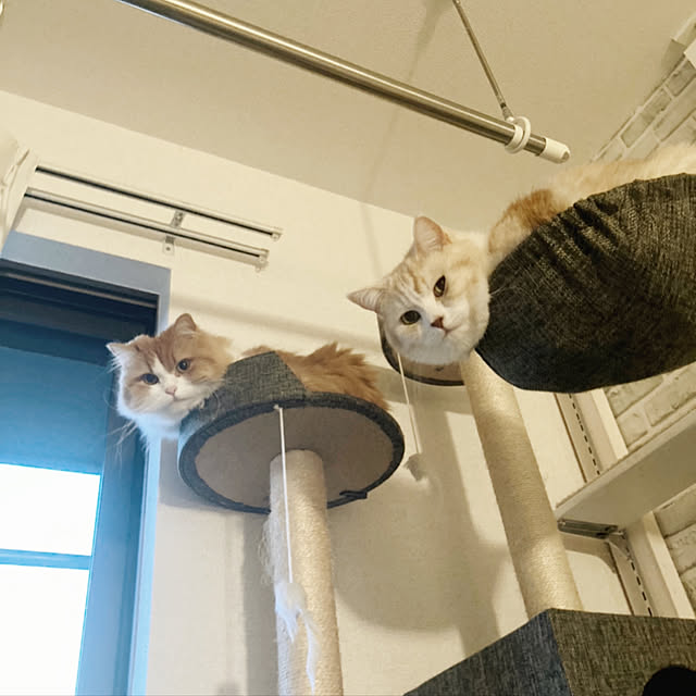 H.Tさんの実例写真