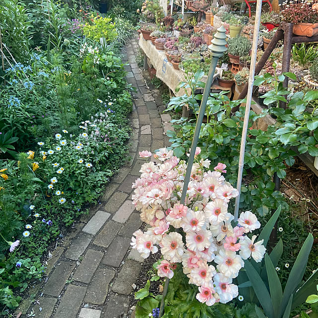 na-chanさんの部屋