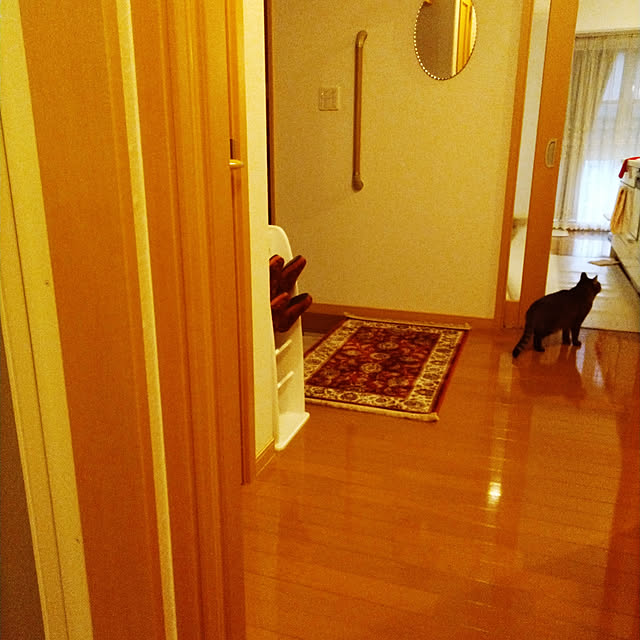 lilyさんの実例写真